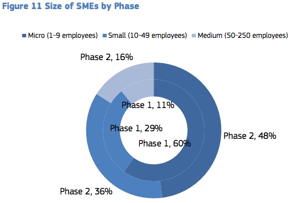 DimesioneImprese1 - Report Sme Instrument