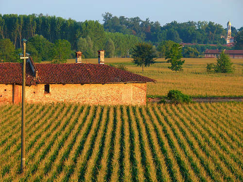 Agricoltura - foto di BORGHY52 