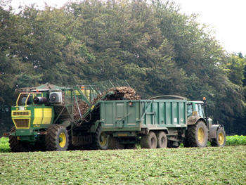 Agricoltura - foto di Evelyn Simak