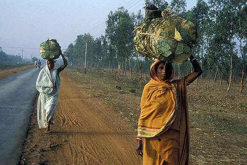 Women - foto di World Bank Photo Collection