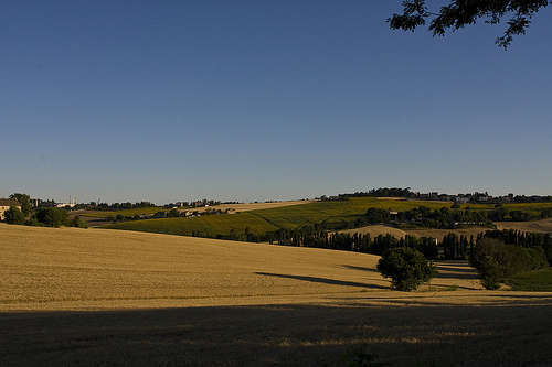 Agricoltura - foto di giorgio.montesi 