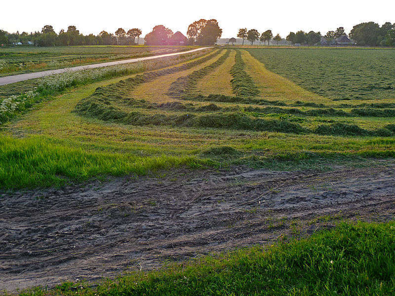 Campagna - Foto di FotoDutch 