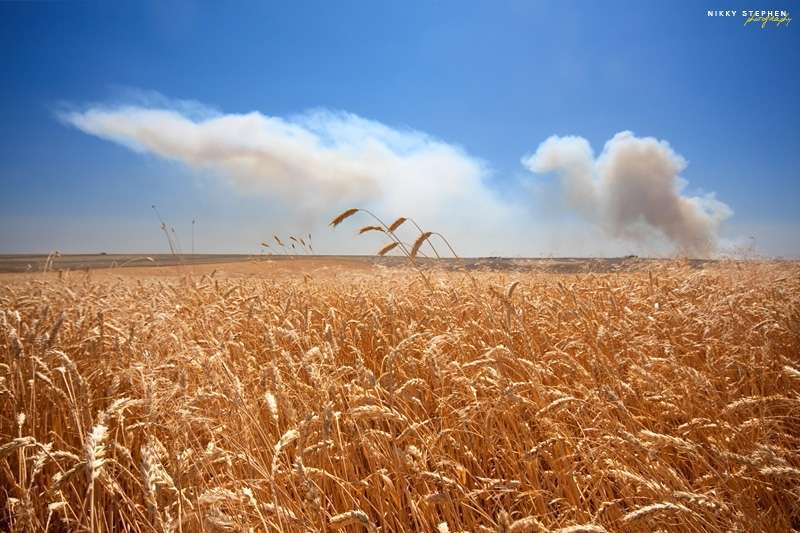 Crop fields - foto di djniks