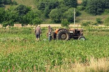 Agricoltura - foto di Giulia van Pelt