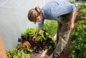 Farmer Laura