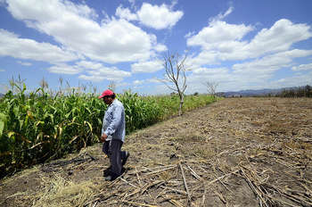 Agriculture, Honduras - Photo credit: CIAT International Center for Tropical Agriculture / Foter / CC BY-NC-SA