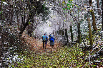 Passeggiata nel bosco