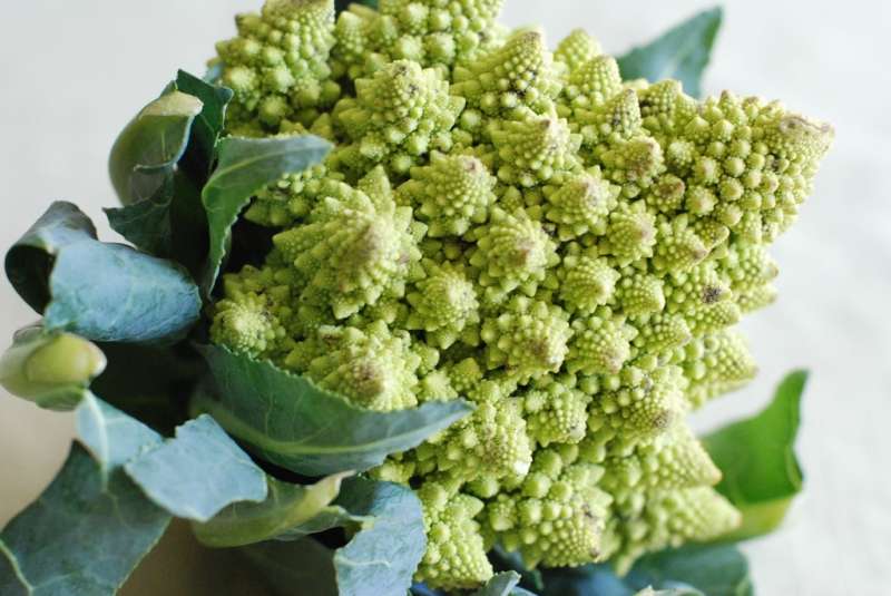 Fractal Cauliflower?