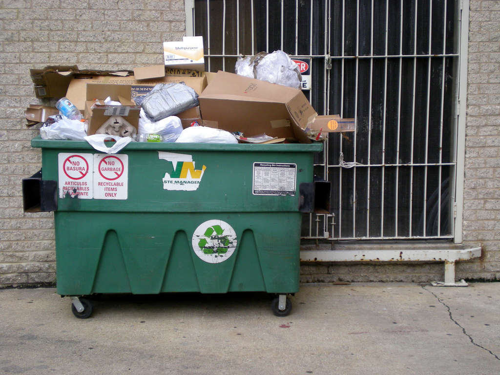 Suburban Squalor: Loading Dock Dumpster