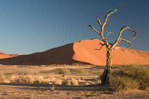 Drought, Africa - foto di Luca Galuzzi 