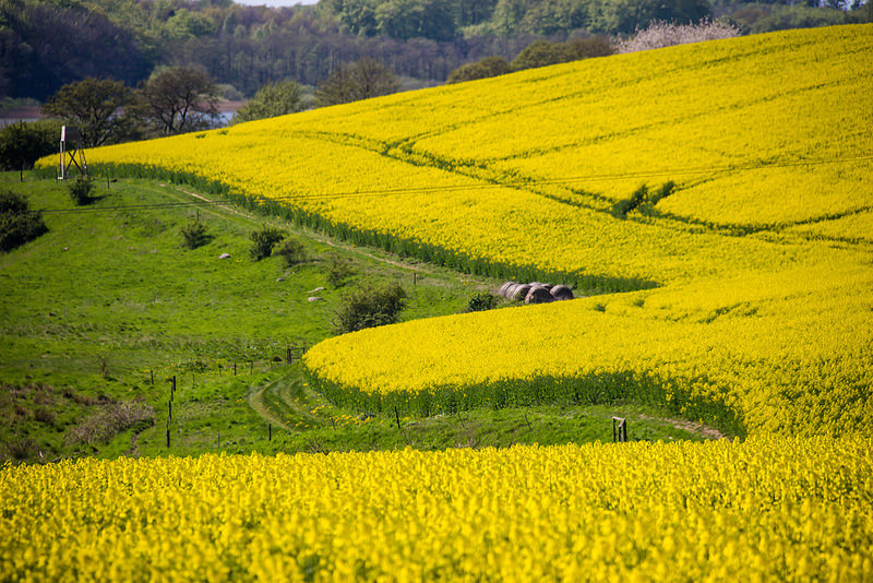 PSR Emilia-Romagna - Author: Infomastern / photo on flickr 