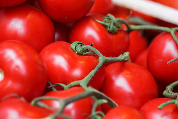 Pomodori