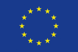 European Flag