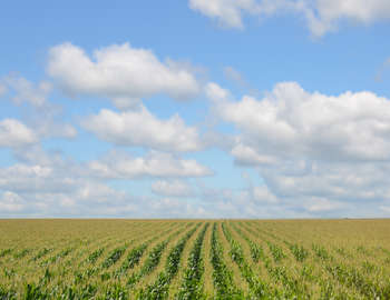 Agriculture - Photo credit: Richard Hurd via Foter.com / CC BY