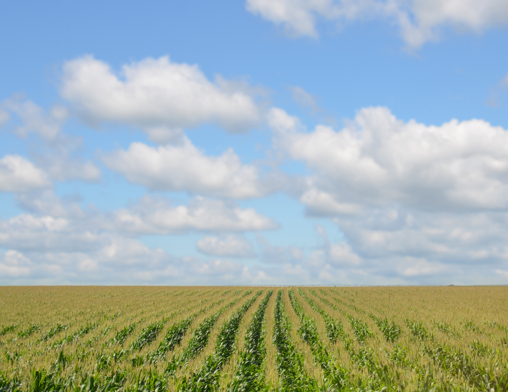 Agriculture - Photo credit: Richard Hurd via Foter.com / CC BY