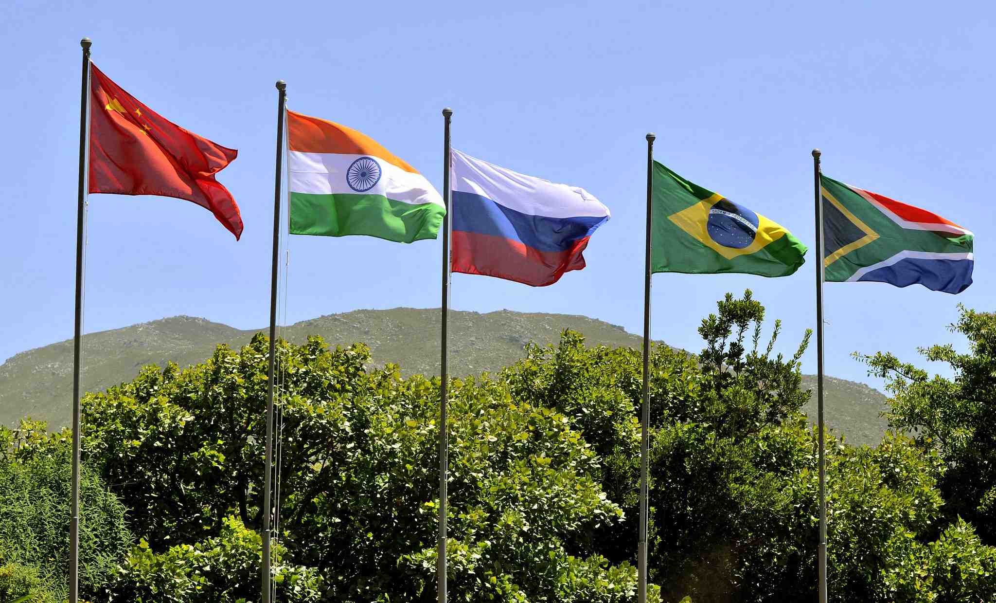 BRICS Business Council