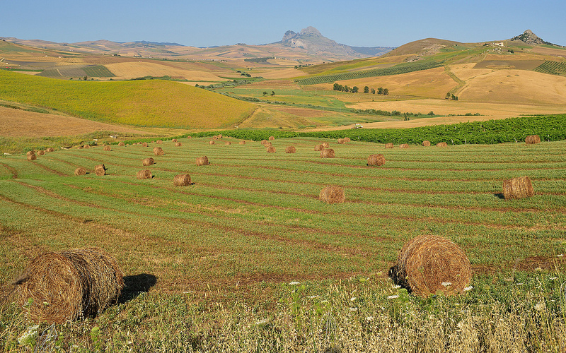 Agriculture - Photo credit: orientalizing via Foter.com / CC BY-NC-ND © 2016 FOTER.COM Blog Contact Terms Sitemap Privacy Policy