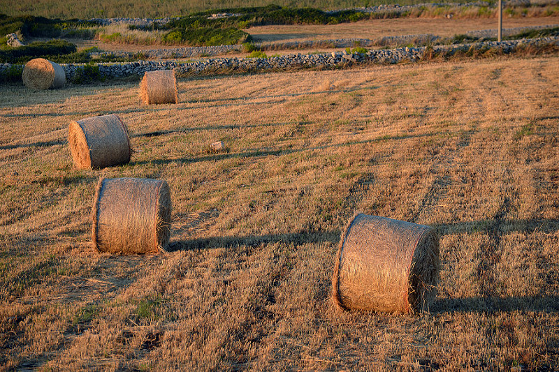 Agriculture - Photo credit: HBarrison via Foter.com / CC BY-SA © 2016 FOTER.COM Blog Contact Terms Sitemap Privacy Policy