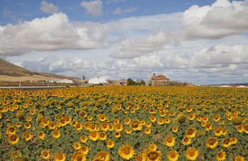 Agricoltura - foto di Diego Delso