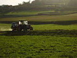 Campagna - Foto di Vermondo