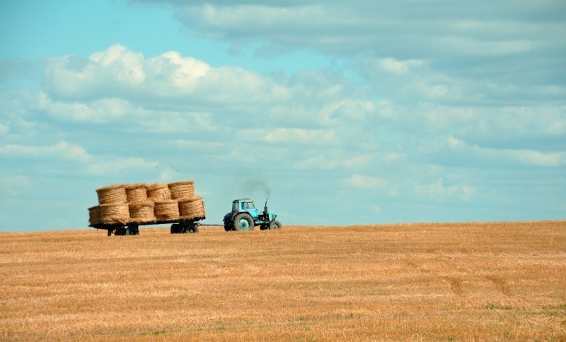 Agribusiness - Photo credit: Foter.com / CC0