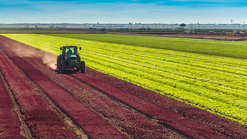 Agriculture - Photo credit: Wayne Stadler Photography via Foter.com / CC BY-NC-ND