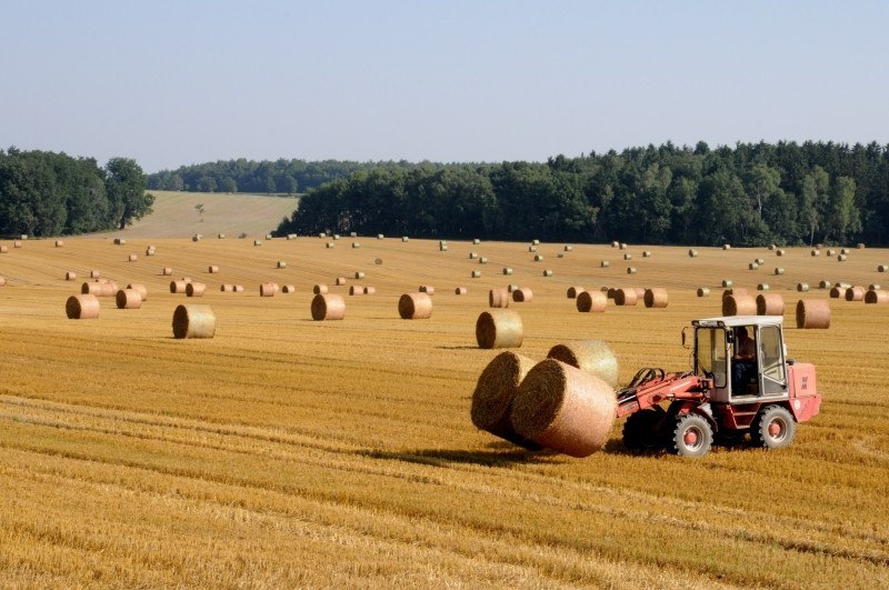 Polizze assicurative agricole