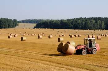 Strumenti finanziari agricoltura