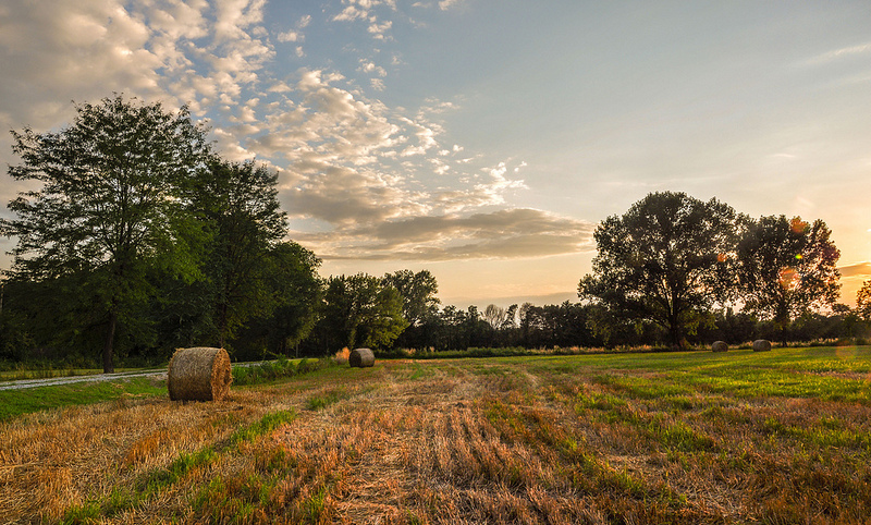 Agricoltura Ue