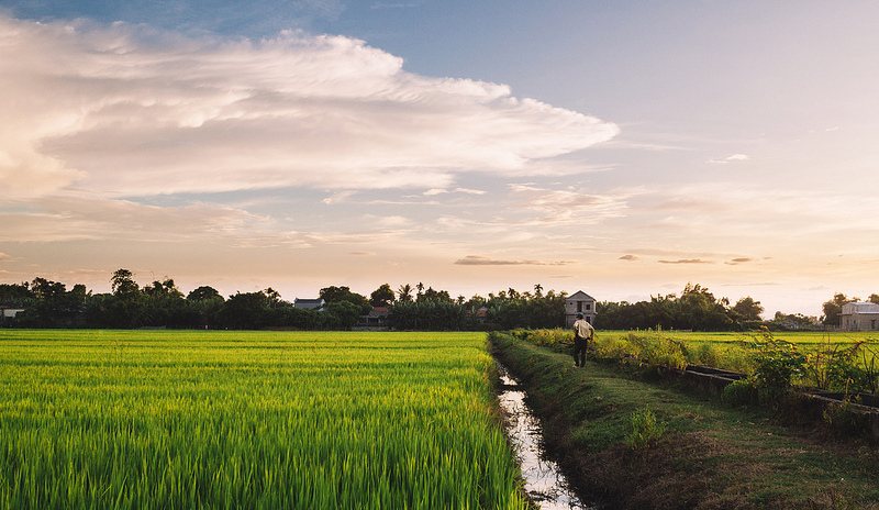 Agriculture - Photo credit: Global Landscapes Forum via Foter.com / CC BY