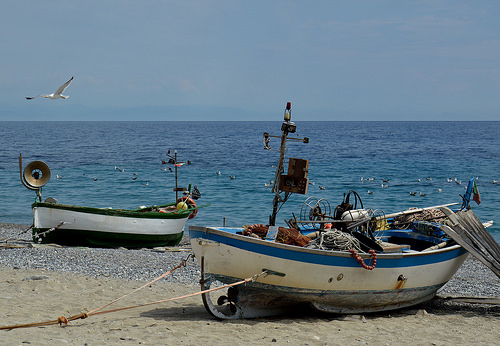 Piano pesca e acquacoltura