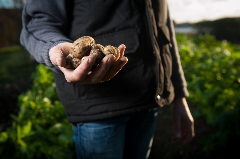 Young farmer - Photo credit: Foter.com