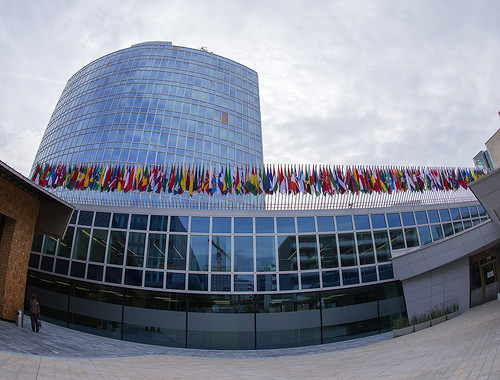 World Intellectual Property Organization (WIPO)