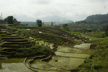 Bando di lavori in Nepal