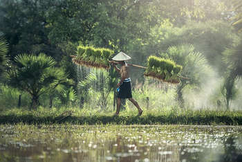 UE-Vietnam