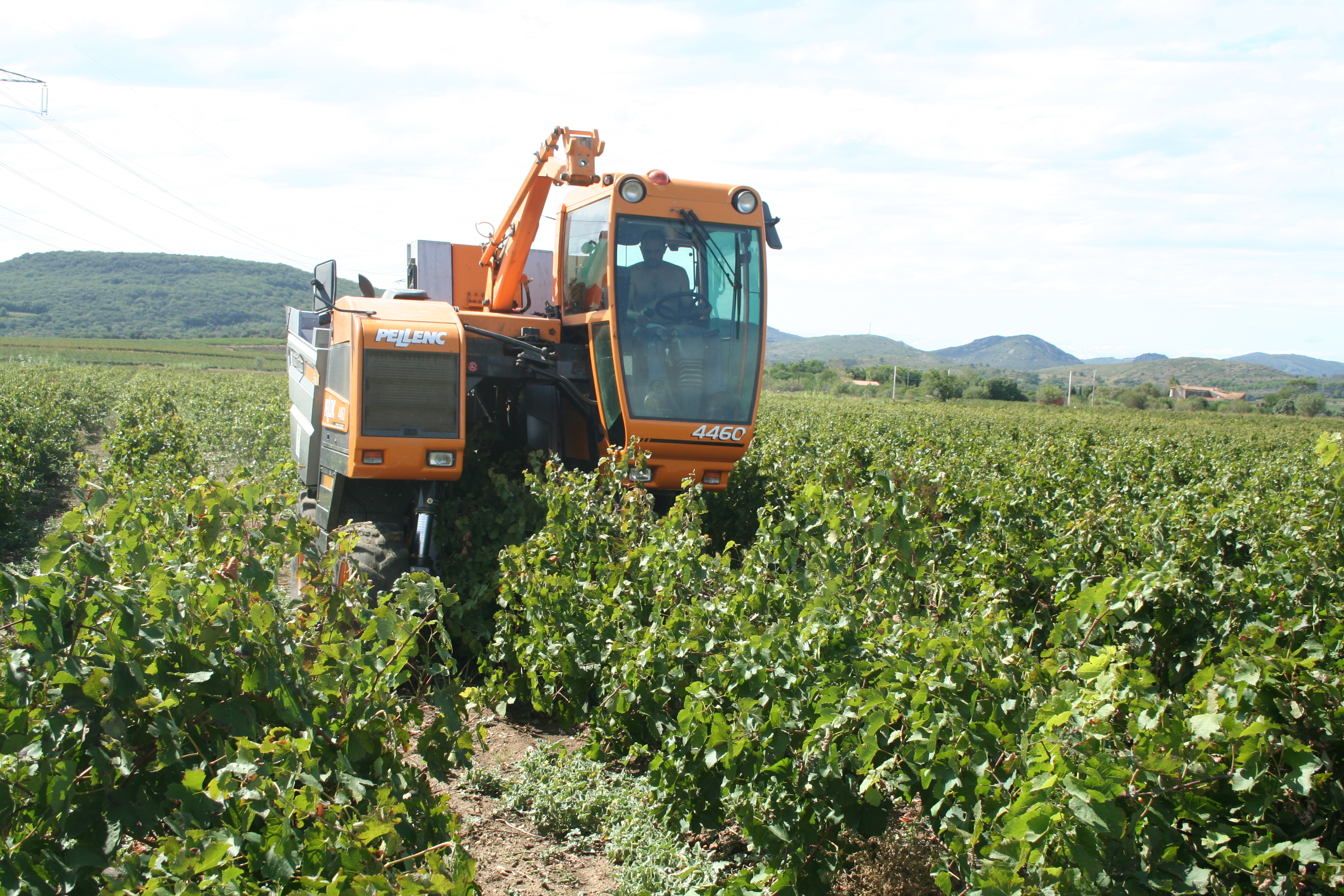 Agricoltura - photo credit: Fagairolles 34