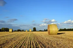 Politica Agricola Comune - PAC