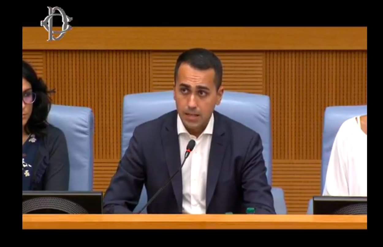 Luigi DI Maio - foto Pagina Twitter Camera Deputati