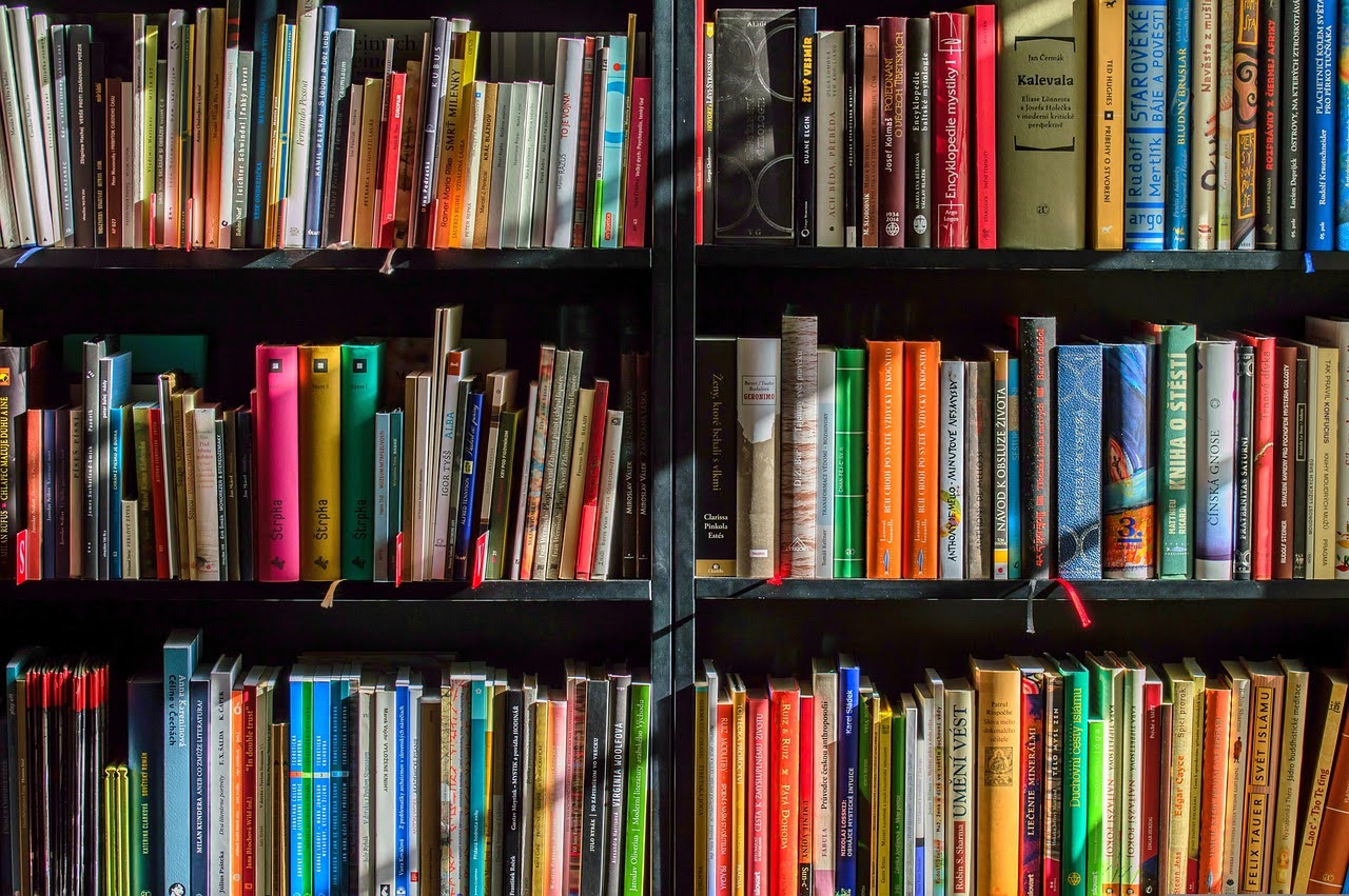 Tax credit librerie - Foto di Lubos Houska da Pixabay