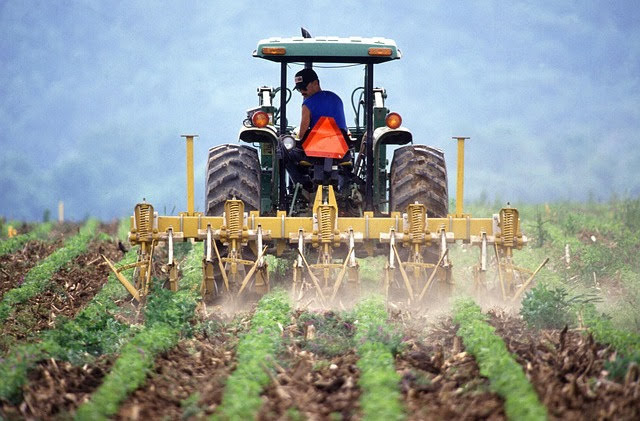 Agricoltura - Foto di PublicDomainImages da Pixabay