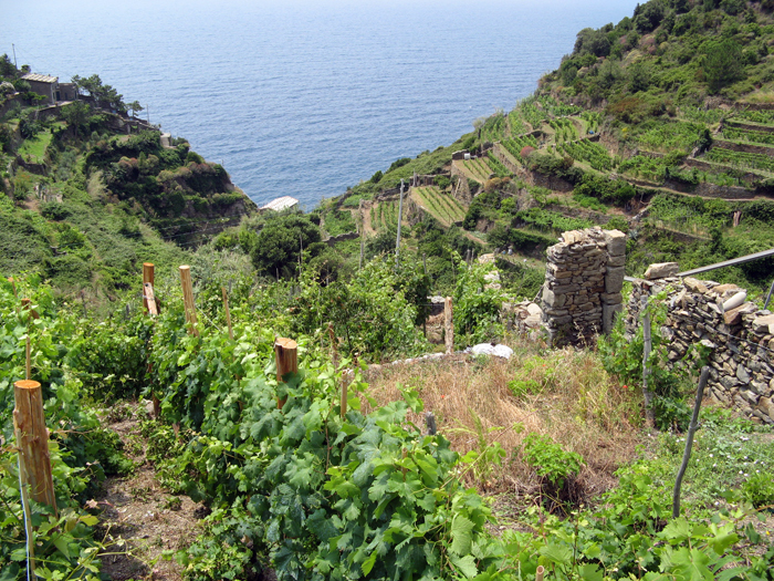 Banca delle terre - photo credit: Josh & Jelena