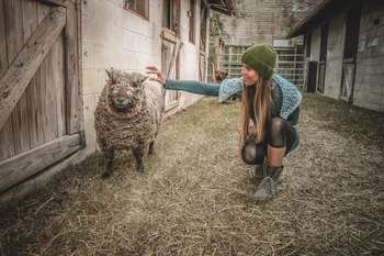 Agricoltura: proposte del Consiglio UE per il futuro della PAC 