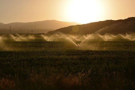 Mipaaf: bando investimenti infrastrutture irrigue