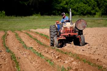 Coronavirus: le misure per il settore agricolo nel dl Cura Italia