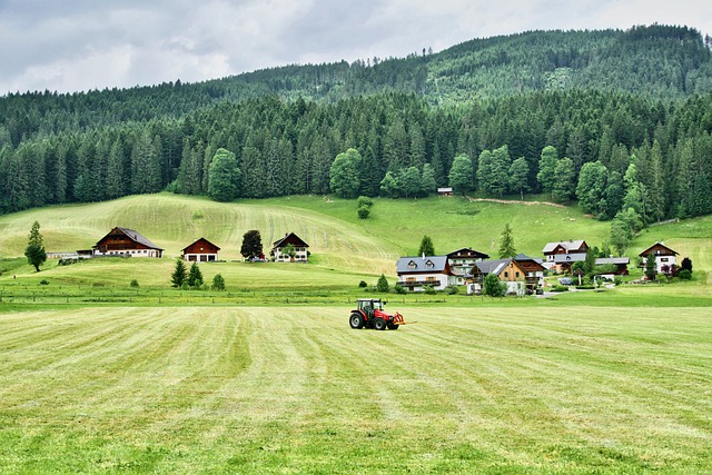 Agricoltura - Photo credit: Foto di Siggy Nowak da Pixabay 