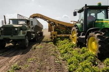 Agricoltura - Photo credit: John Lambeth da Pexels