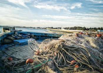 Pesca - Foto di Bedis ElAcheche da Pexels