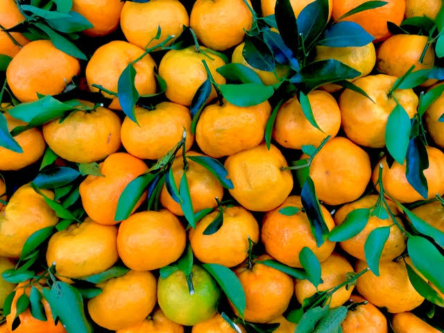 Agricoltura - Photo credit: Rogério Martins da Pexels