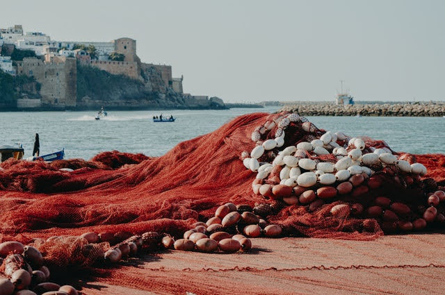 Possibilità pesca - Photo credit: Foto di Meliani Idriss da Pexels