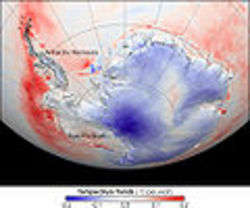 skin temperatures—temperatures from roughly the top millimeter of the land or sea surface—of Antarctica from 1982 to 2004, NASA 